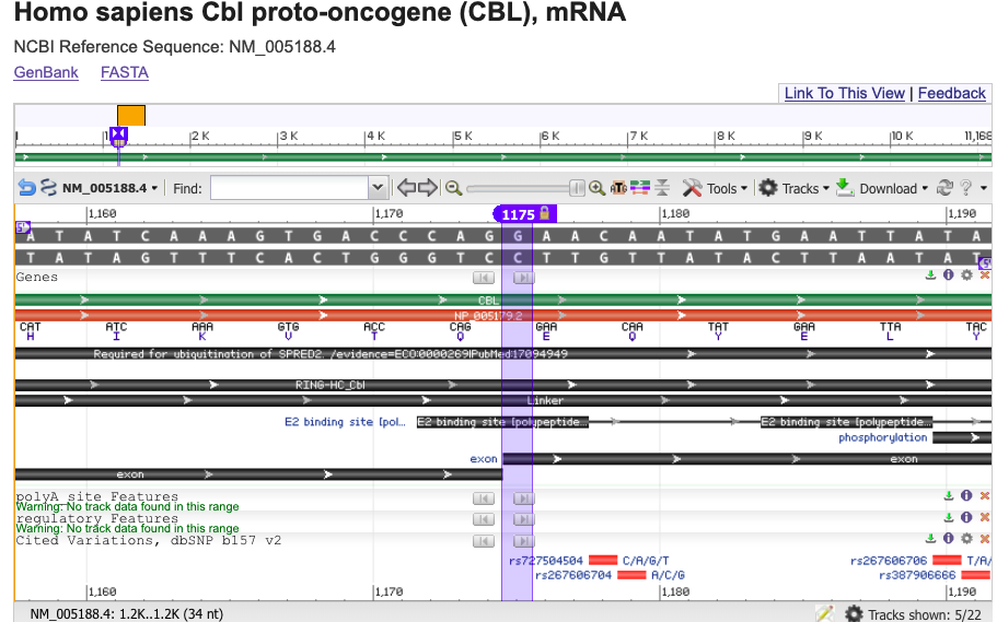 NCBI Sequence Viewer showing the splice acceptor region in NM_005188.4
