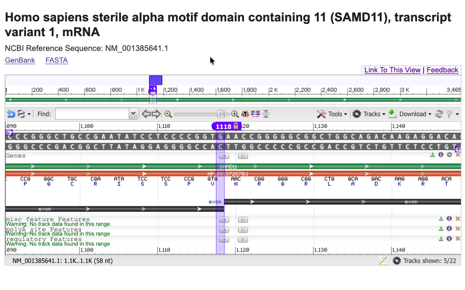 NCBI Sequence Viewer showing the splice donor region in NM_001385641.1
