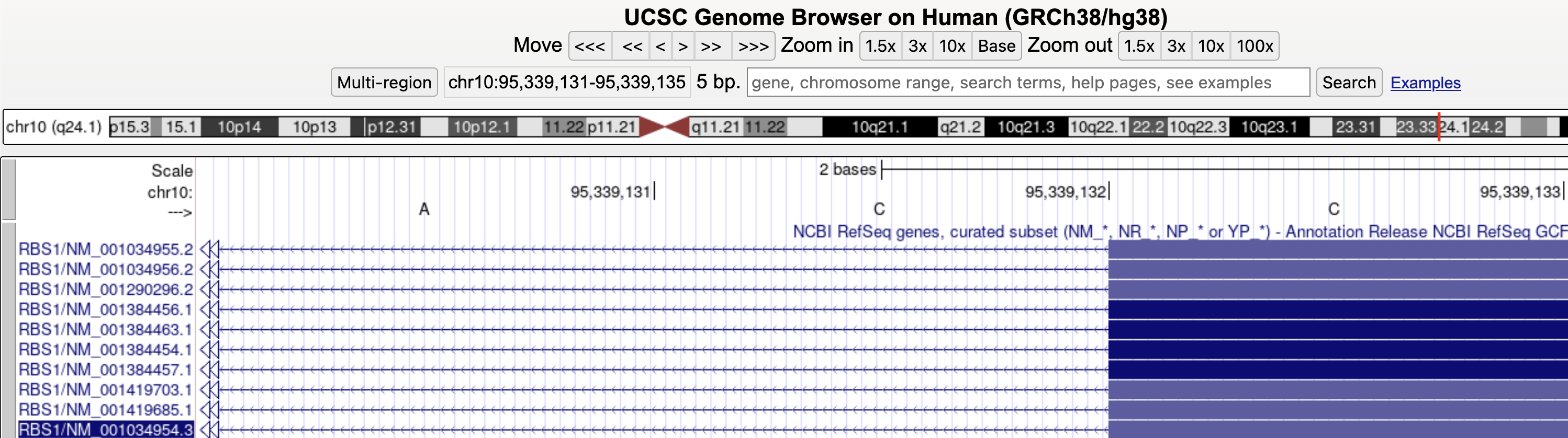 UCSC Exon 29