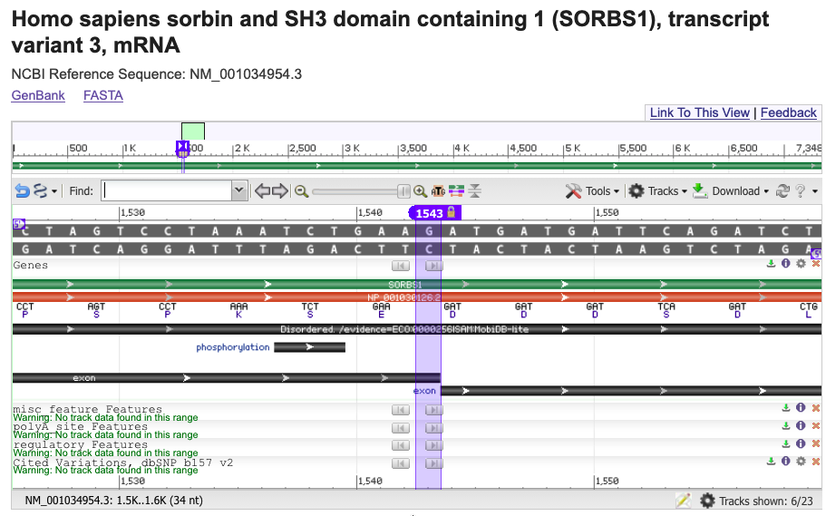 NCBI Sequence Viewer showing the splice acceptor region in NM_001034954.3