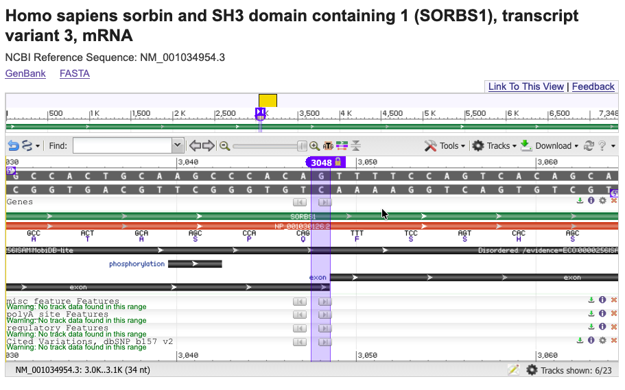 NCBI Sequence Viewer showing the splice donor region in NM_001034954.3